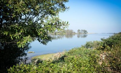 The Hatchery – Self catering accommodation KZN