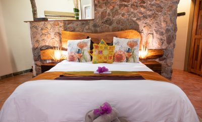 Standard Double Hoedspruit Accommodation