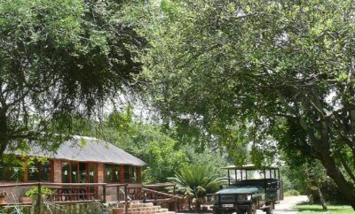 Baluleni Safari Lodge at Balule Nature Reserve in Limpopo