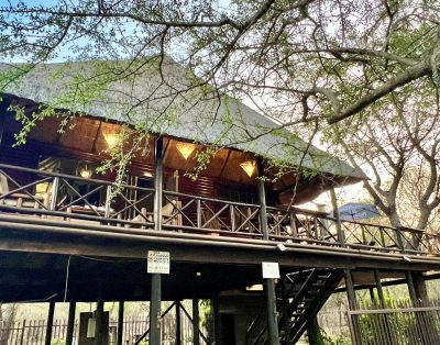 Kruger Kumba – Lahlekile Nathi Accommodation Marloth Park