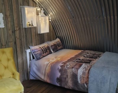 Meerkat at Mountain Stream Accomodation Gordons Bay